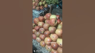 Daily minivlog shorts video regular shorts video 365 days minivlog shorts video #vlog #vlogger #song