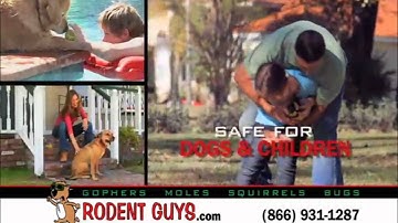 Gopher Control Pasadena Gopher Removal | Los Angeles Riverside Ventura Orange San Bernardino