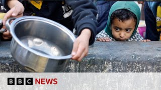 Israel-Gaza: World Food Programme stops deliveries to northern Gaza | BBC News