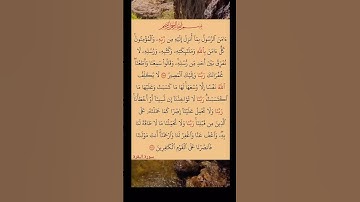 أواخر سورة البقرة #قرآن #سورة_البقرة #سعود_الشريم #quran