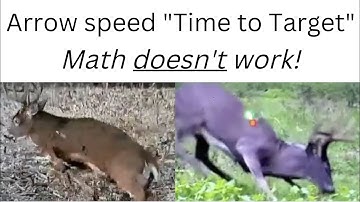 Arrow Speed Analysis (Can you beat the animals?)