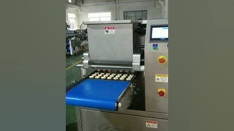 WENVA High-speed Upgraded RH400 Cookie Making Machine