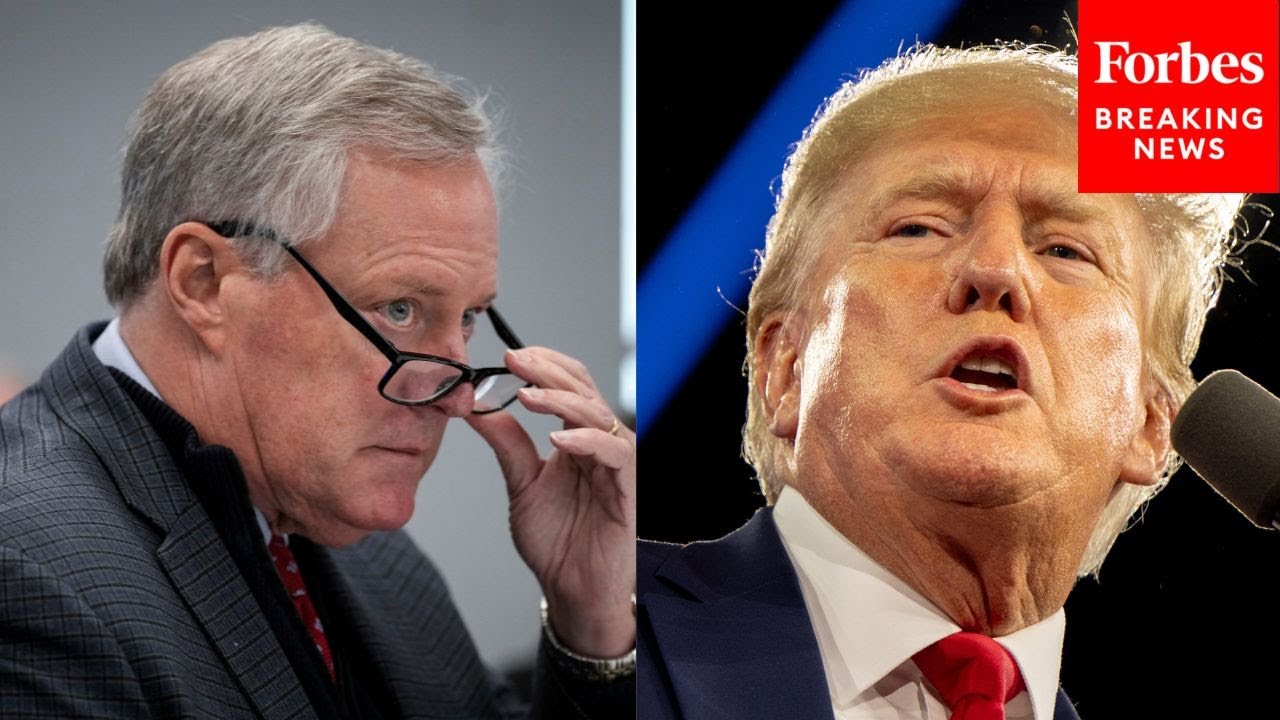 DOJ Accuses Trump Of Threatening Mark Meadows—Asks Judge To Reinstate Gag Order