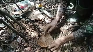 tutorial jerat babi hutan ala Tanaka si pemburu