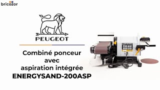 PRESENTATION : Combiné ponceur stationnaire à bande et à disque 500W Energysand 200ASP PEUGEOT