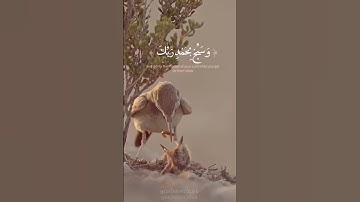 وَٱصْبِرْ لِحُكْمِ رَبِّكَ فَإِنَّكَ بِأَعْيُنِنَا ۖ            صلاح الباجي تلاوة رائعة