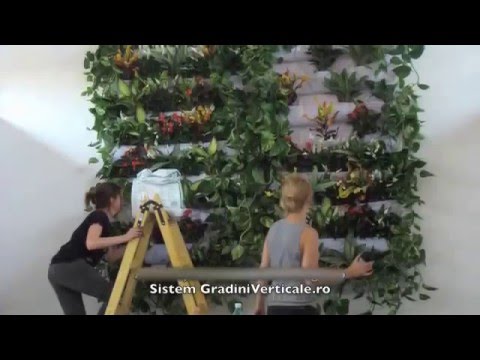 Video: Grădină Verticală Pe Balcon