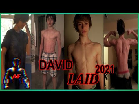 David Laid 8
