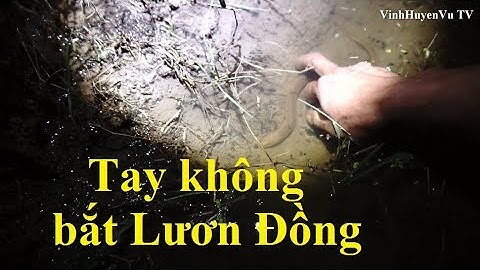 Buổi tối đi NHẶT Lươn đồng bằng tay không cực kỳ thú vị