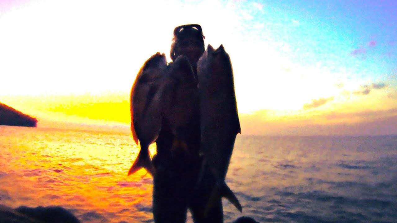 spearfishing world Pesca Submarina, una jornada Intensa!