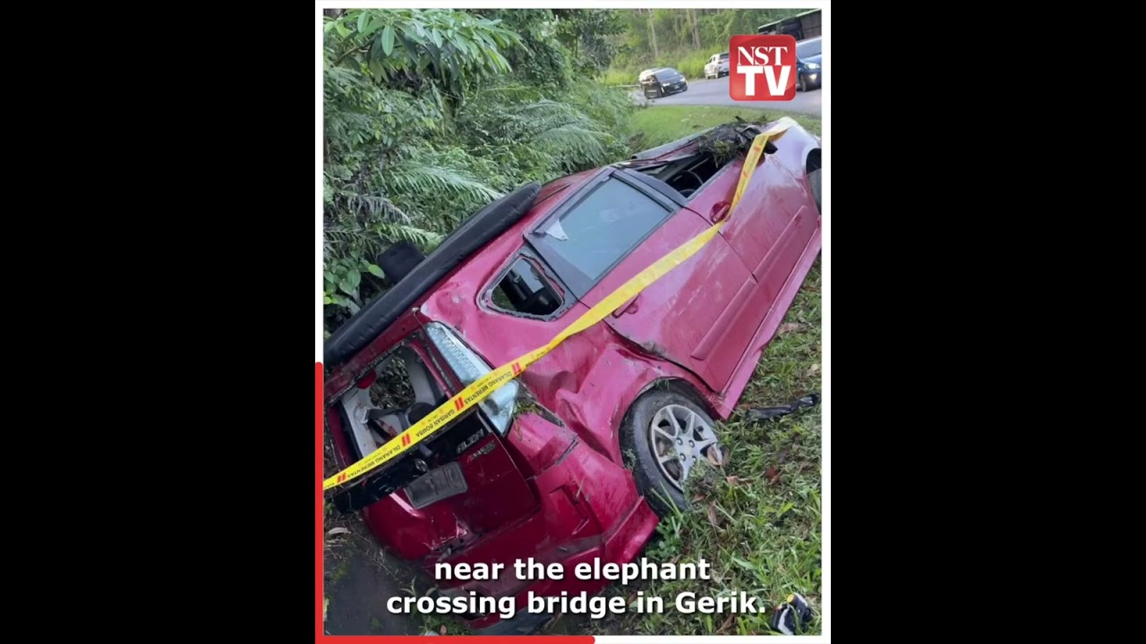 Gerik crash: 'I'm sorry… the brakes failed suddenly,' says bus driver