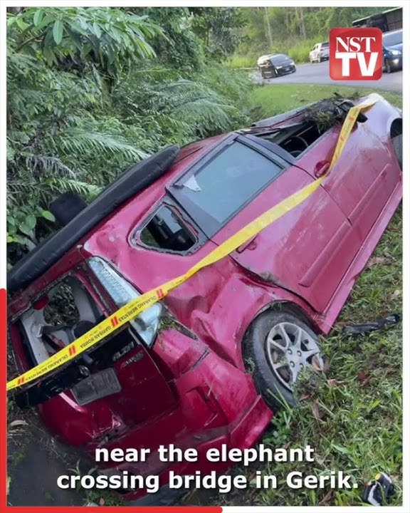 Gerik crash: 'I'm sorry… the brakes failed suddenly,' says bus driver