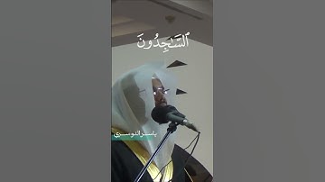 التائبون العابدون الحامدون | سورة التوبة ياسر الدوسري  #quran #قرآن_كريم  #قرآن #سورة_التوبة
