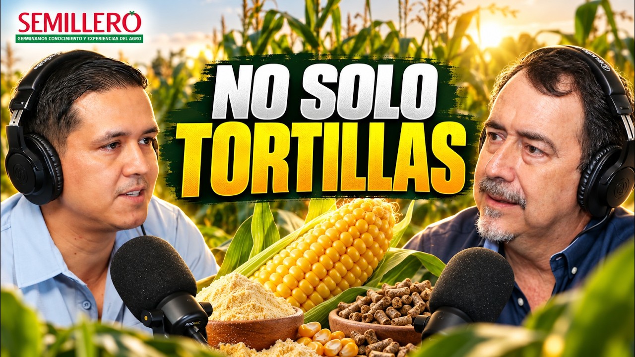 La oportunidad agroindustrial del maíz | EP. 139