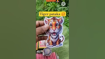 2025 tiger pataka #shorts #experiment #viralvideo #trending