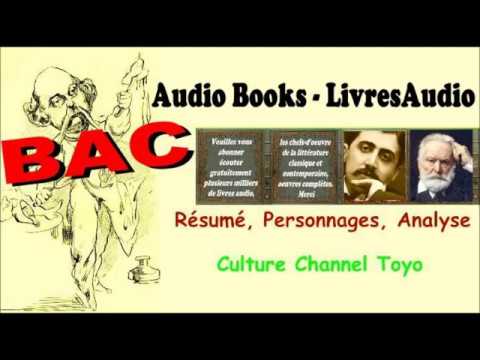 bac---pierre-et-jean-de-maupassant,-résumé,-personnages,-wiki