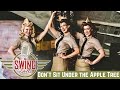 The swing dolls cover dont sit under the apple treethe andrews sisterstbn veterans day tribute