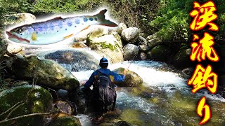 久しぶりの沢登りで渓流の女王をルアーで狙う