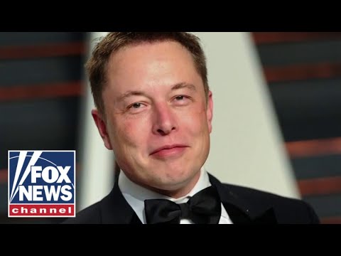 'The Five': Elon Musk 'humiliates' BBC reporter