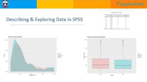 Descriptive Statistics, Histograms, and Plots in SPSS