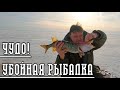 ЗУБАСТАЯ КОРОЛЕВА ЧУДСКОГО ОЗЕРА