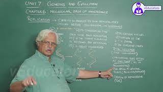_Molecular Basis of Inheritance_2 Gene expression - translation