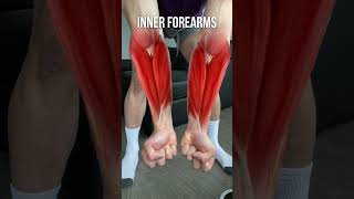 Want Bigger Forearms? DO THIS‼️