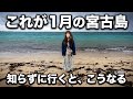 【1月の宮古島】これが現実…リアルな現地状況と楽しみ方を全部話します‼️