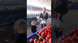 Domates Biber Patlıcan