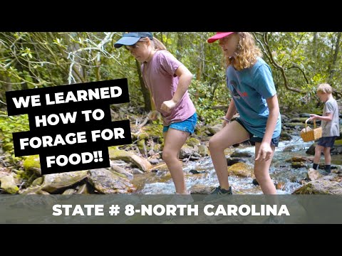 FORAGING FOR FOOD!! 🍄 | Asheville, North Carolina | We Found LOTS of Mushrooms!