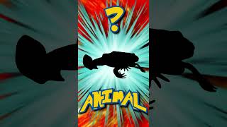 Who&#39;s That ANIMAL?! (ep. 83) #shorts #animals #quiz | Animal Fact Files