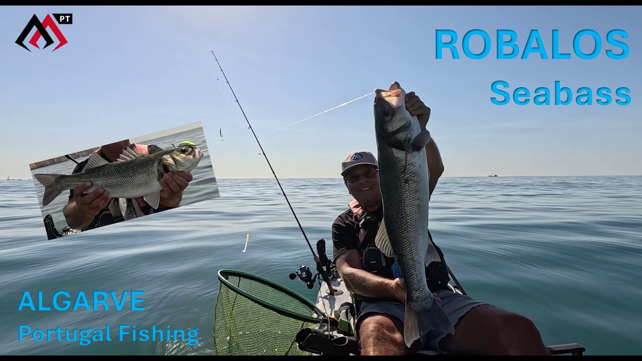 ROBALO – Seabass kayak fishing