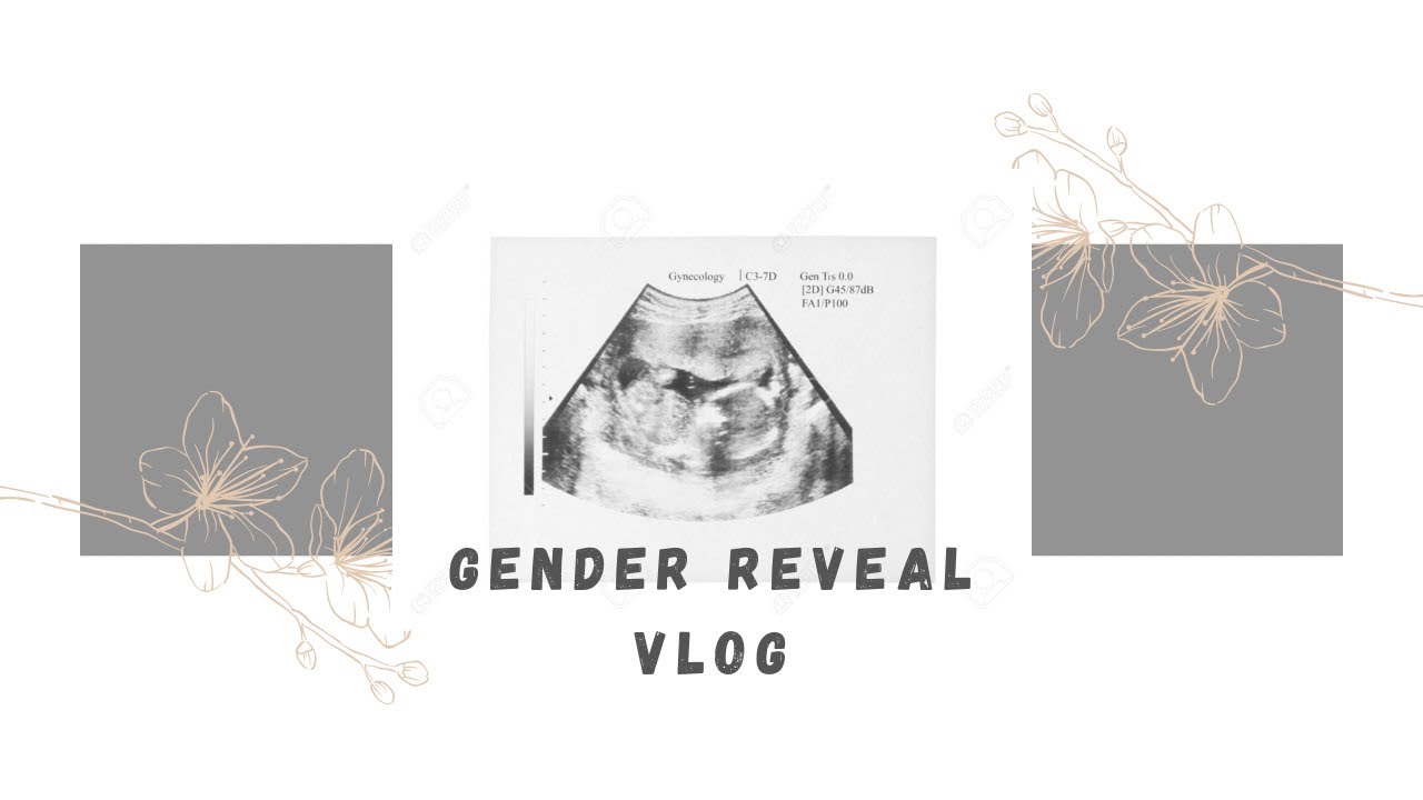 Видеоблог о раскрытии пола | Мальчик или девочка | Намибийские ютуберы