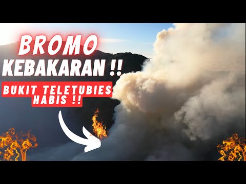 Kondisi Terkini BROMO KEBAKRAN 😱