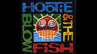 Watch Hootie  The Blowfish Alright video