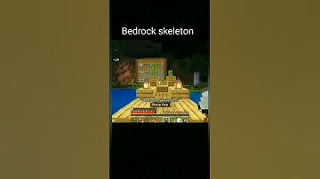 Minecraft Java skeleletons vs Bedrock skeletons #minecraft #skeletons