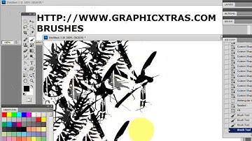 How To Build A New Brush In Photoshop