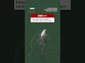 New video by BBC News on YouTube