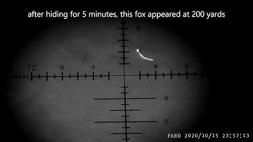 Night vision foxing - Pard nv007 - PBIR - L  - 223 - pulsar xm30 - sako 85 - vortex viper PST Gen II