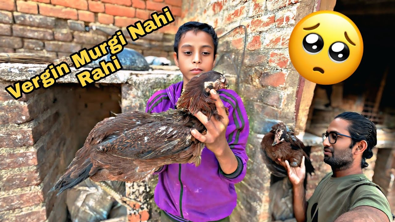 Ek Vergin Murgi Chali Gai 😭