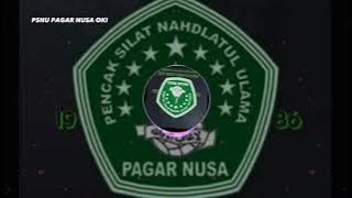 Lagu Pagar Nusa terbaru 2025||'Aisyah' Versi Pagar Nusa ( PSNU PAGAR NUSA OKI )