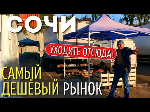 "ОНИ ВСЕ ОБМАНЫВАЮТ". Важное о рынках Сочи. Цены на оптовом рынке Яна Фабрициуса