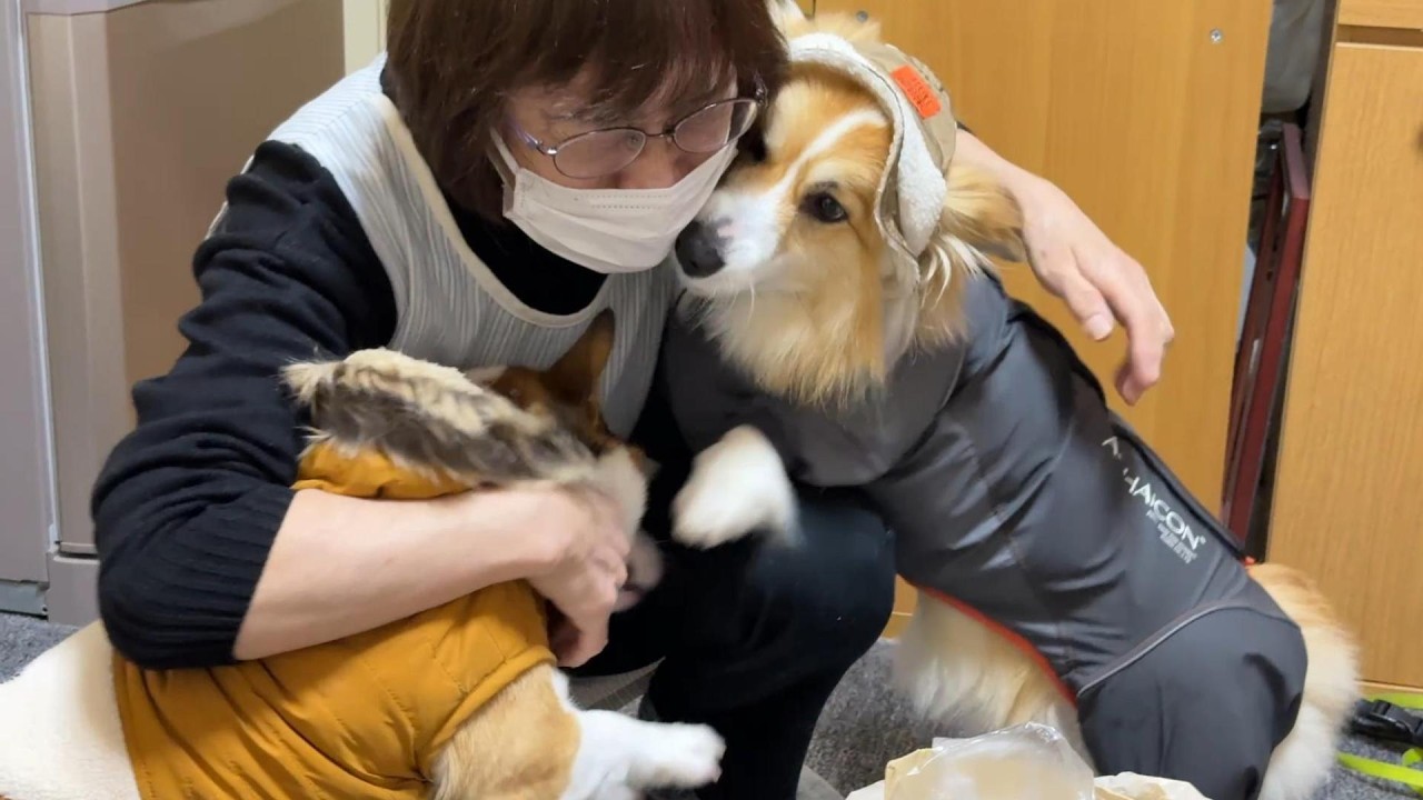 年明け早々、大好きな「お婆ちゃん」に会いに行った結果…【一気見総集編】【1～3月】