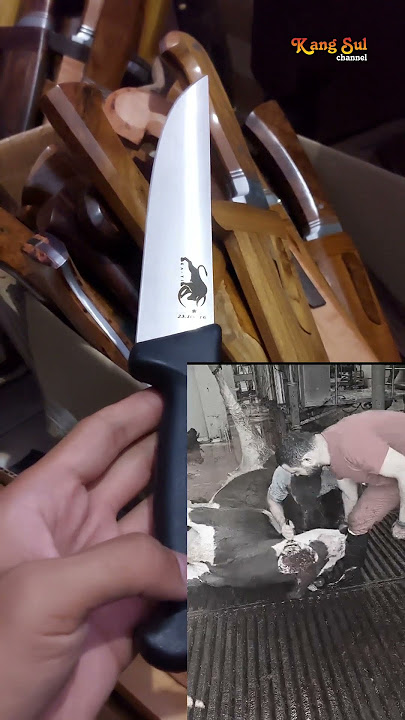 Pisau yang Lagi Viral di Turki Ka-Yi   #knife