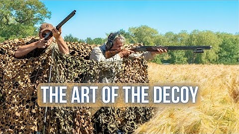 De perfecte dag om duiven te lokken