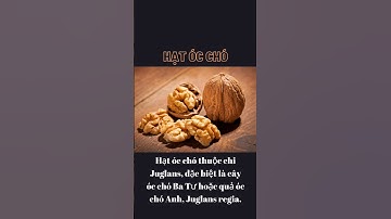 Hạt Óc Chó - Bí mật dinh dưỡng từ thiên nhiên #walnut #occho #food #thucpham #xuhuong #trending #