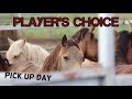 Mustang Pick Up Day // Extreme Mustang Makeover Player's Choice 2020