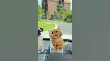 #flycreativity com  Custom face bobbleheads for the car personalized and fun!