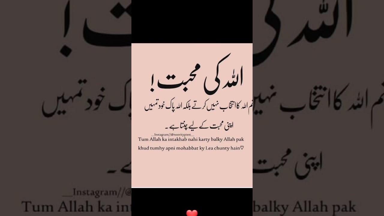 #𝐡𝐚𝐝𝐞𝐞𝐬