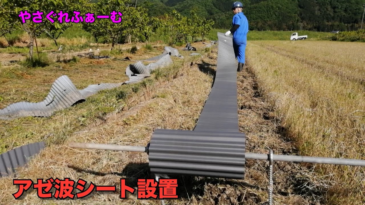 2024水稲＃1】1人でアゼ波シート設置【やさぐれふぁーむ】 - YouTube